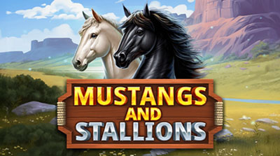 Mustangs and Stallions